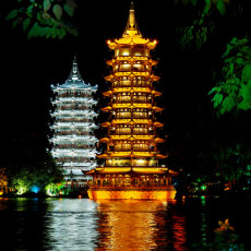 P8190336 copy copy wizz