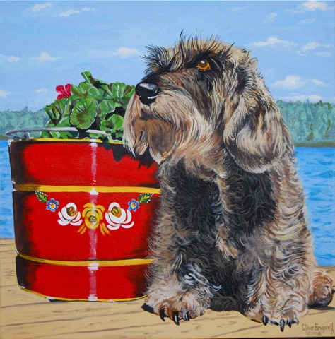 Henrietta (HENRY)  A much loved canine friend.