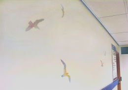 Ground floor corridor in the BRI