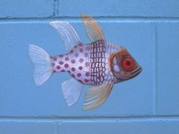 pyjama cardinal fish