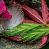 A spoonful of Autumn