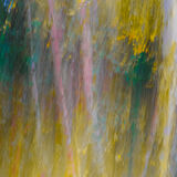 Autumn Trees 7357