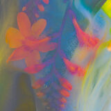 Crocosmia 1963