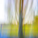 New River-0192