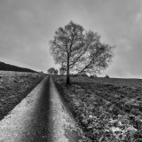 Cranham Common (Road)