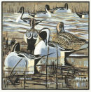 Pintails