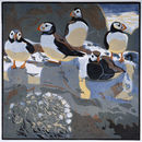 Puffins