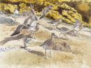 Whimbrel and Rabbits<br>
£450.00