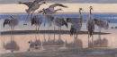 Cranes at Sunset <br>
£590.00