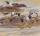 Oyster catchers £650.00