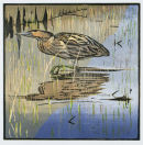 Bittern