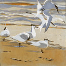 Tideline Terns