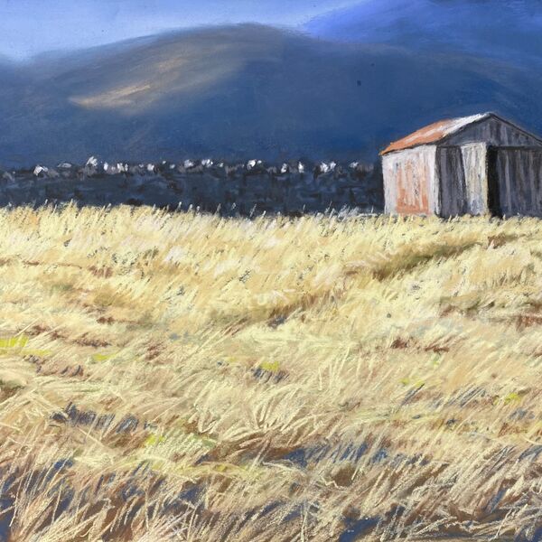 Shed behind Kingussie