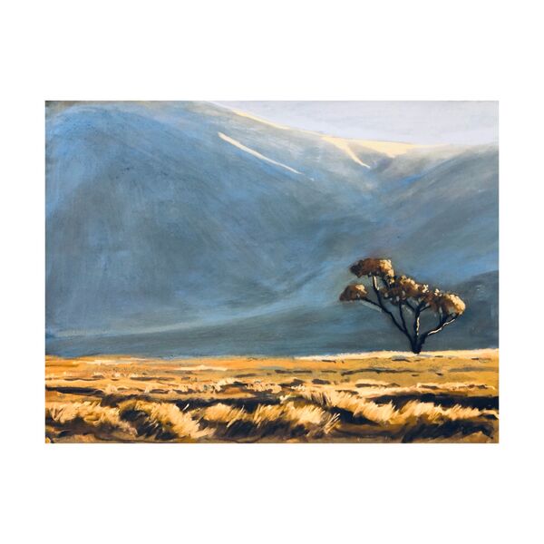 Dalwhinnie hills
