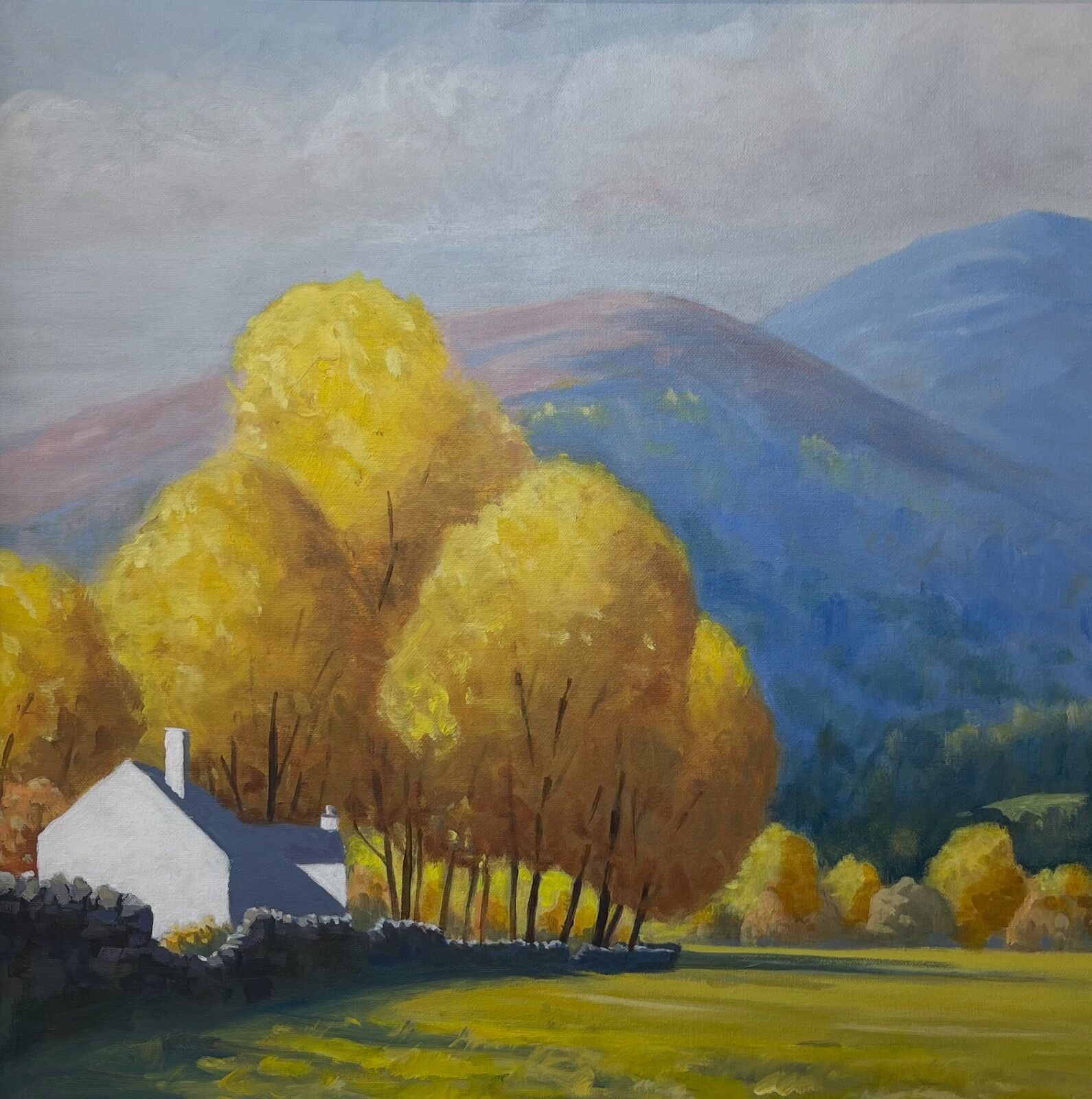 Torcroy aspens