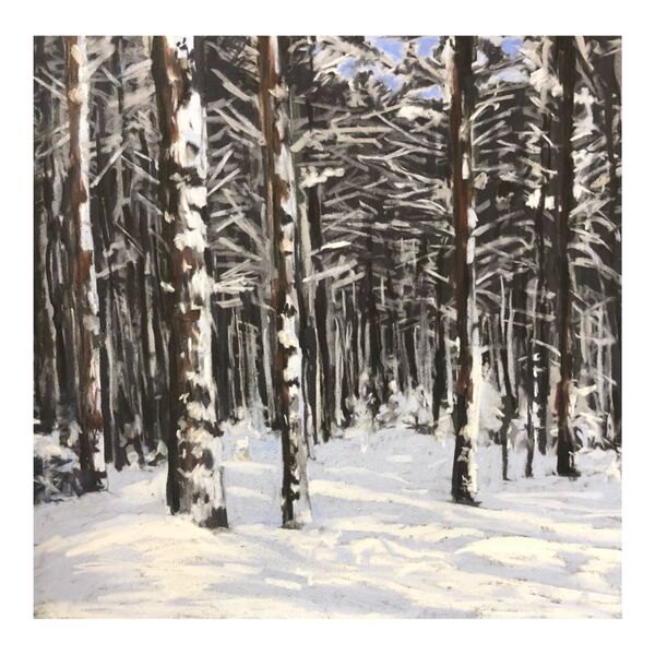 Glenmore Forest