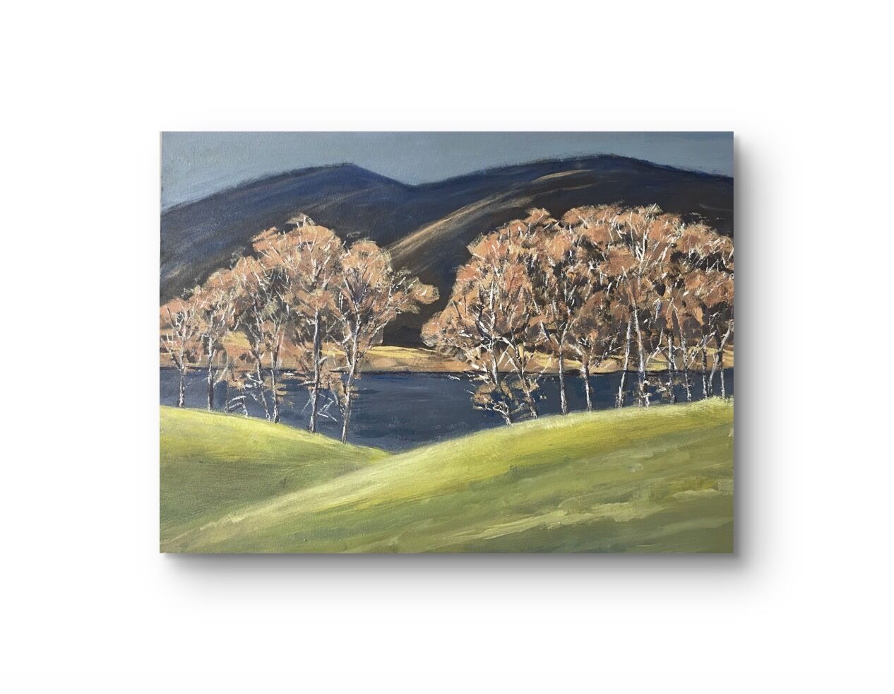 Loch Alvie