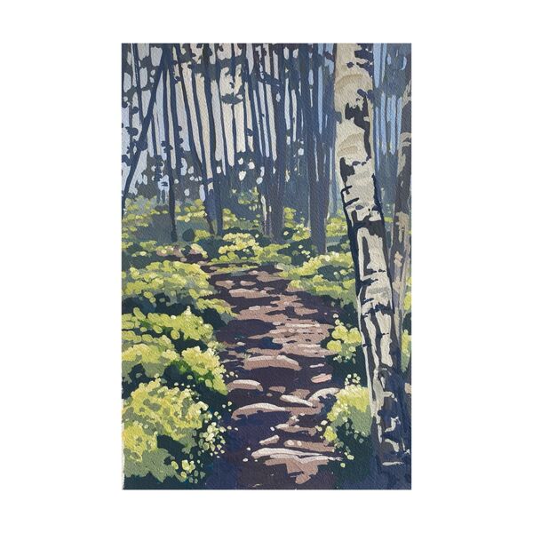 Creag Bheag , blaeberries