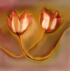 Tulips IV