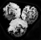 Spheres of Influence