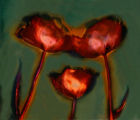 Tulips I