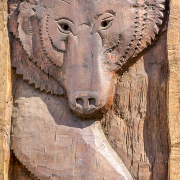 Brown Bear Carving
