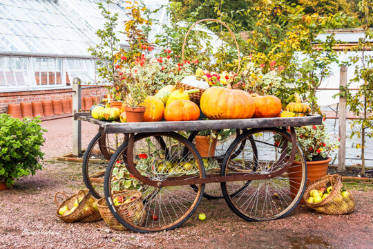 Fruit Barrow