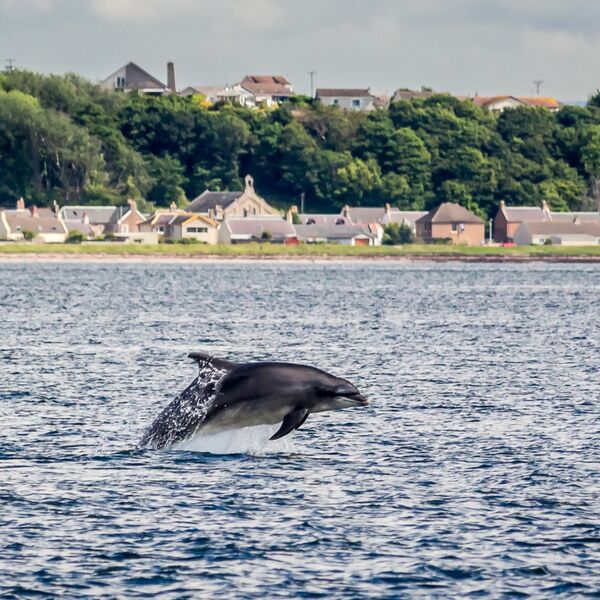 Sailing along!