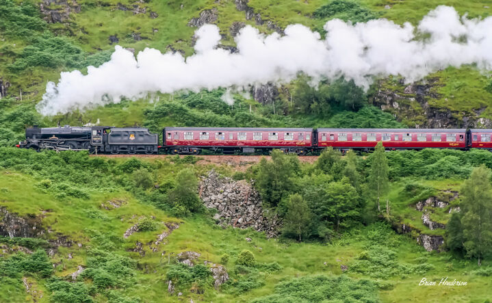 Harry Potter Train!