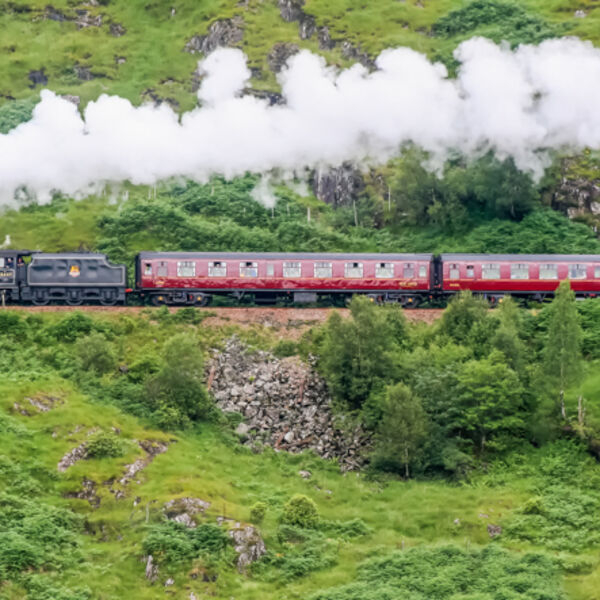 Harry Potter Train!
