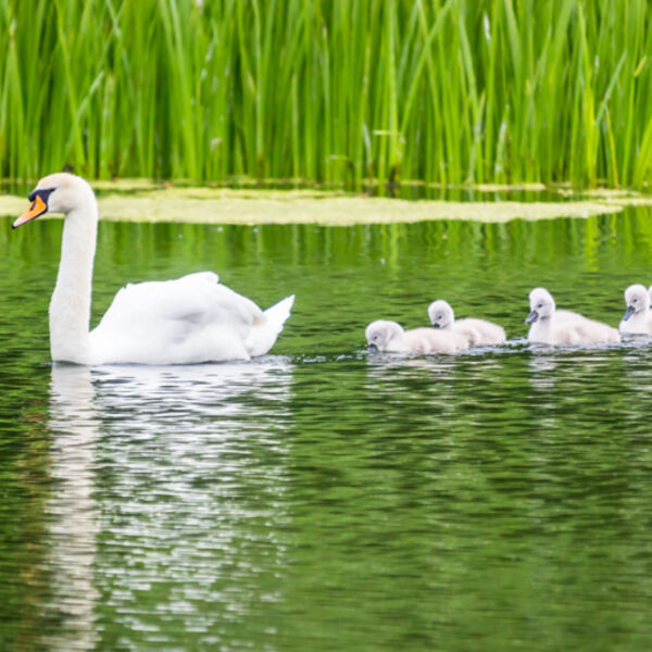 Family day out!