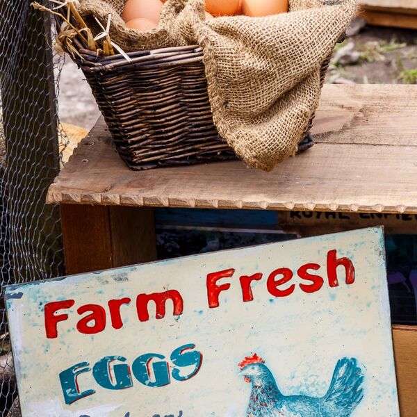 Eggs for sale!