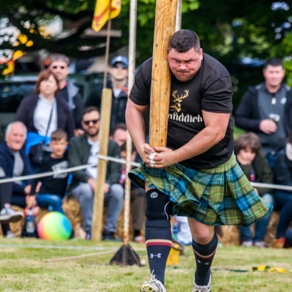 Heavier than it looks!