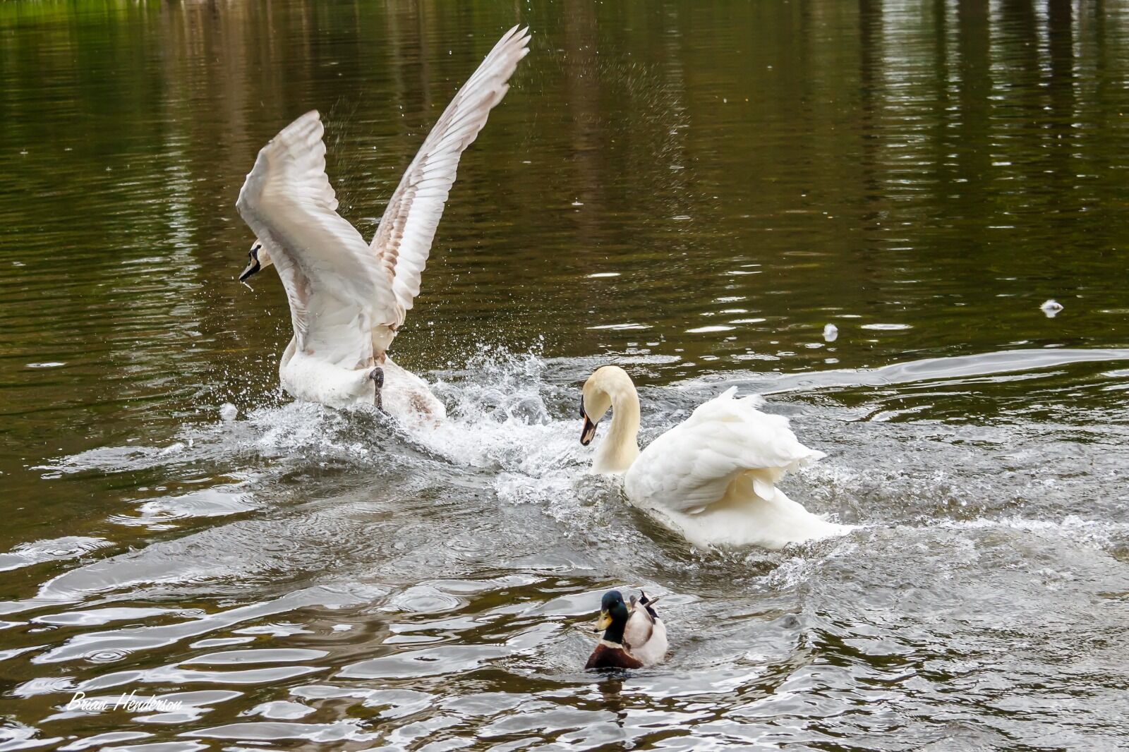 I'm out of here!