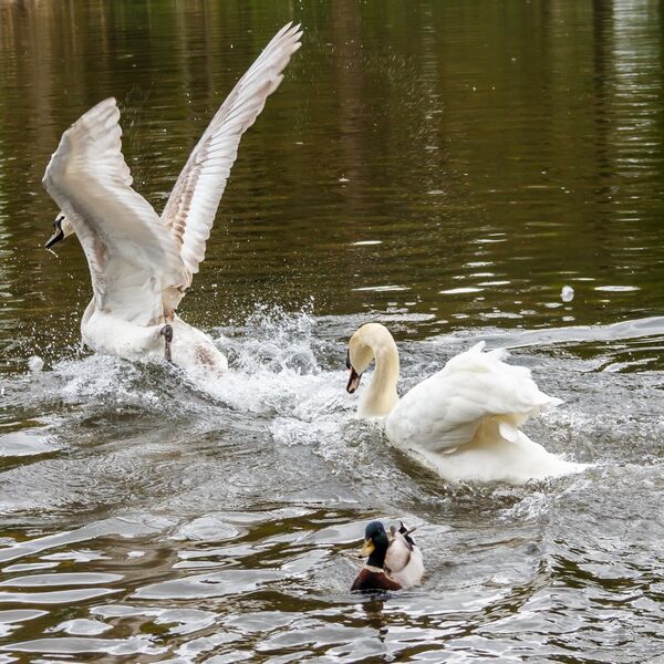 I'm out of here!