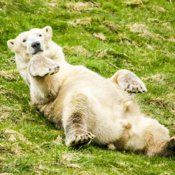 Laid Back !