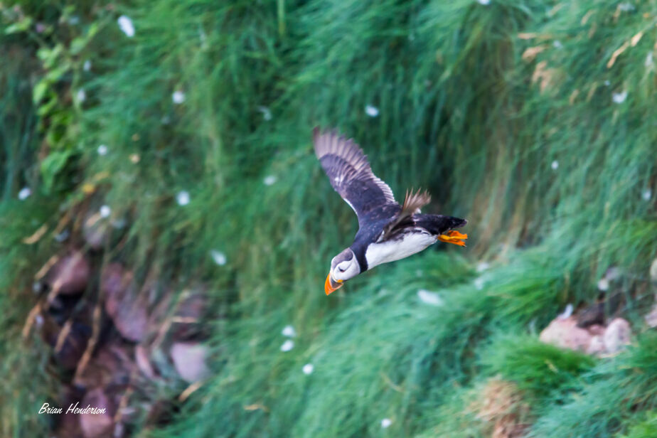 Taking off !