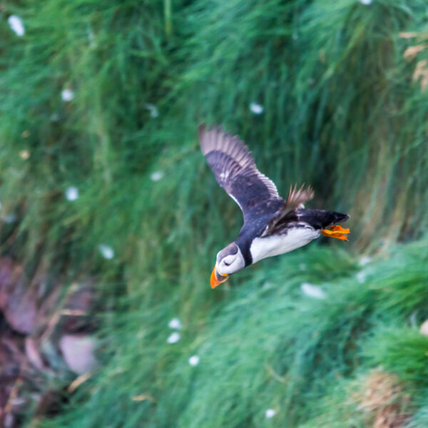 Taking off !