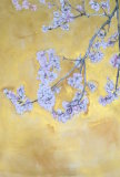 Cherry Blossom in Spring on Gold