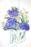 Hyacinths and Narcissi