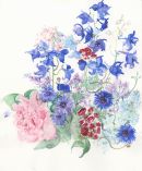Peony, Cornflower & Delph Flowers