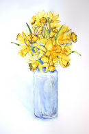 Spring Daffodils