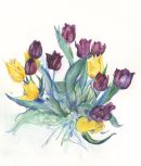 Yellow & Purple Tulips