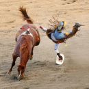 Hang on to your Stetson!