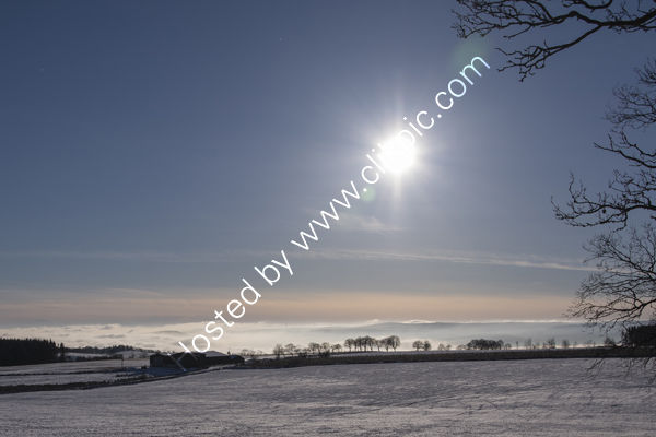 Winter Sunshine