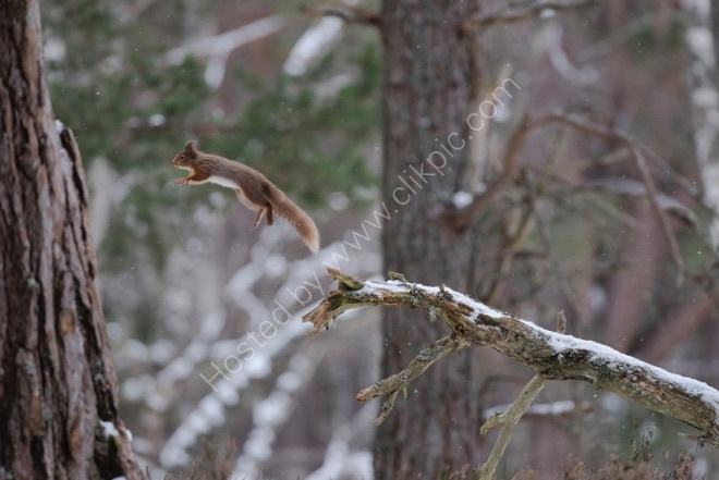 In-flight