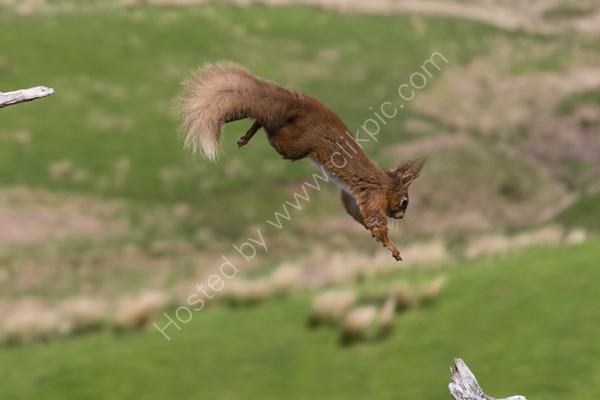 In flight!