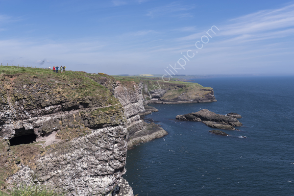 Clifftop view