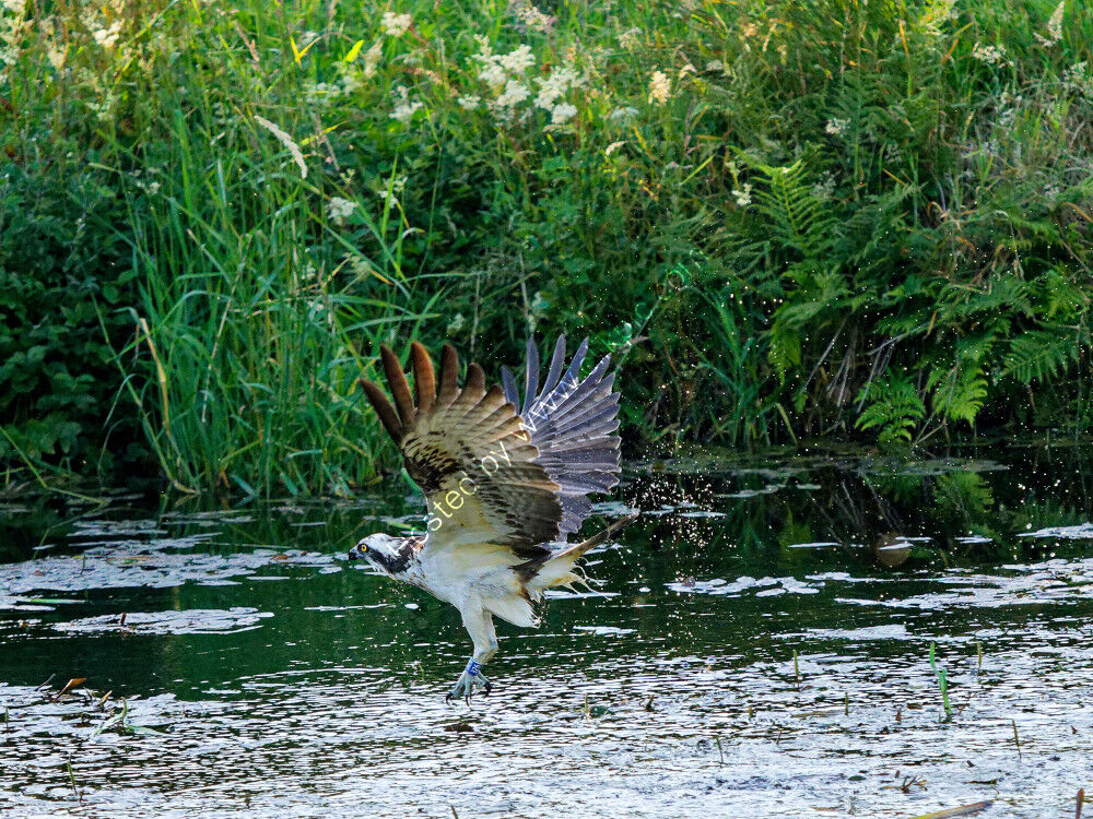 Unsuccessful fishing trip