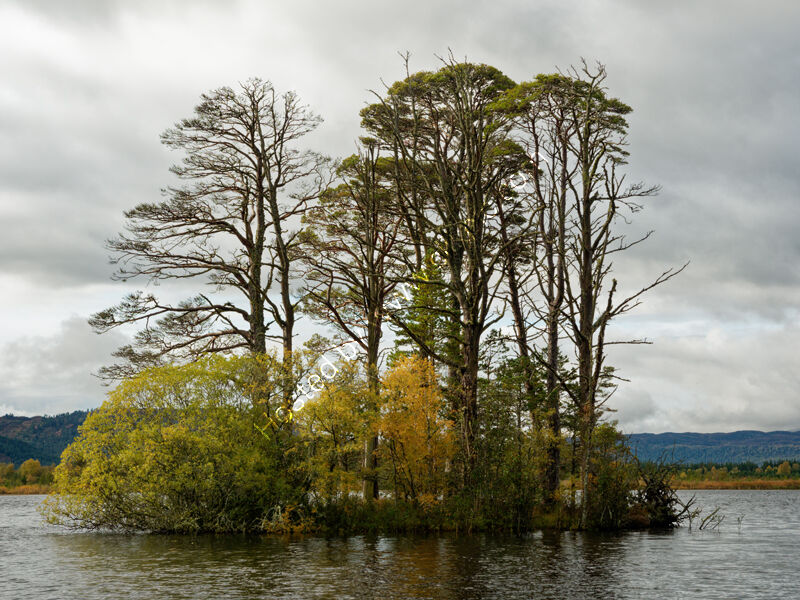 Island, Loch Mallachie